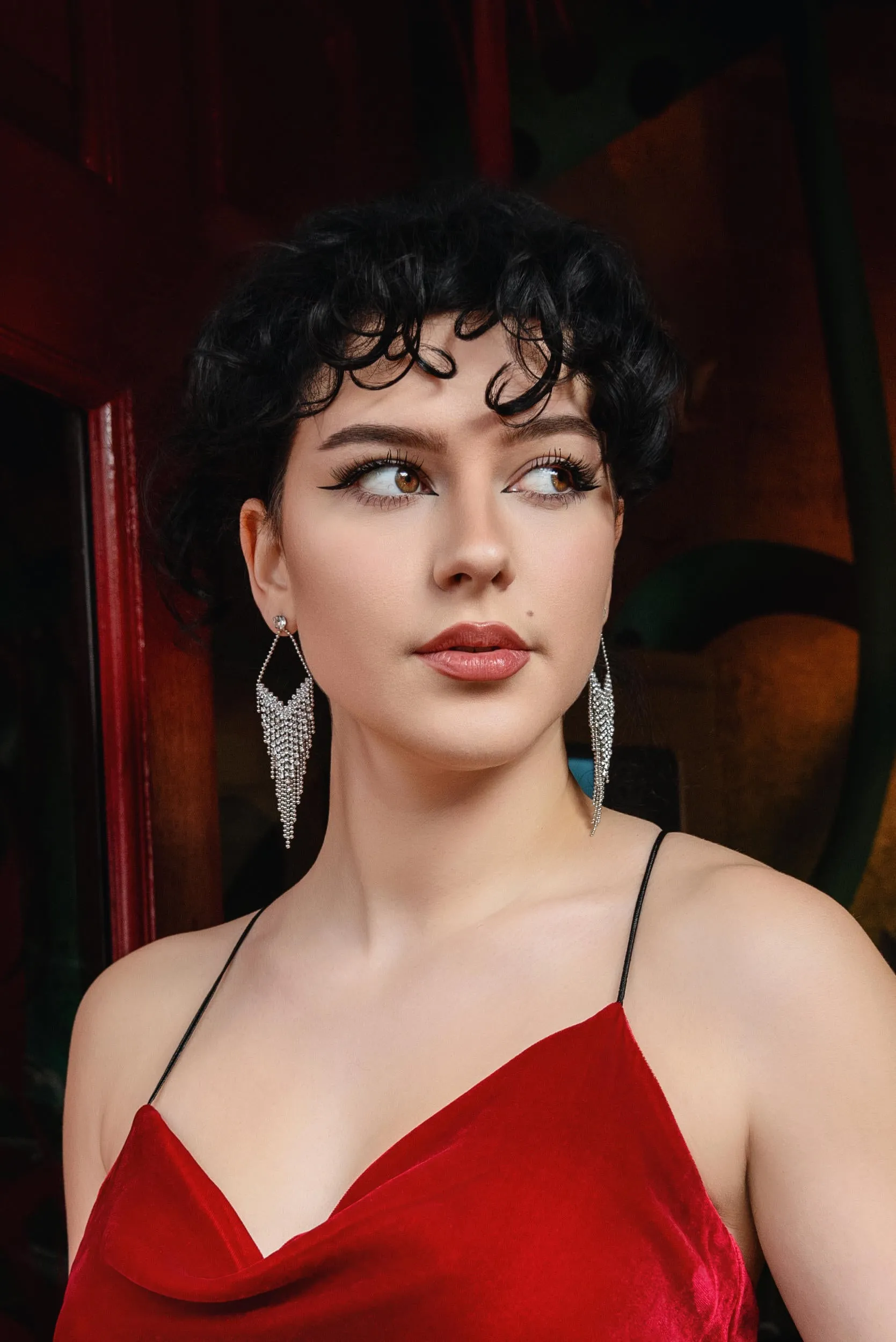 Crystal tassel earrings in silver