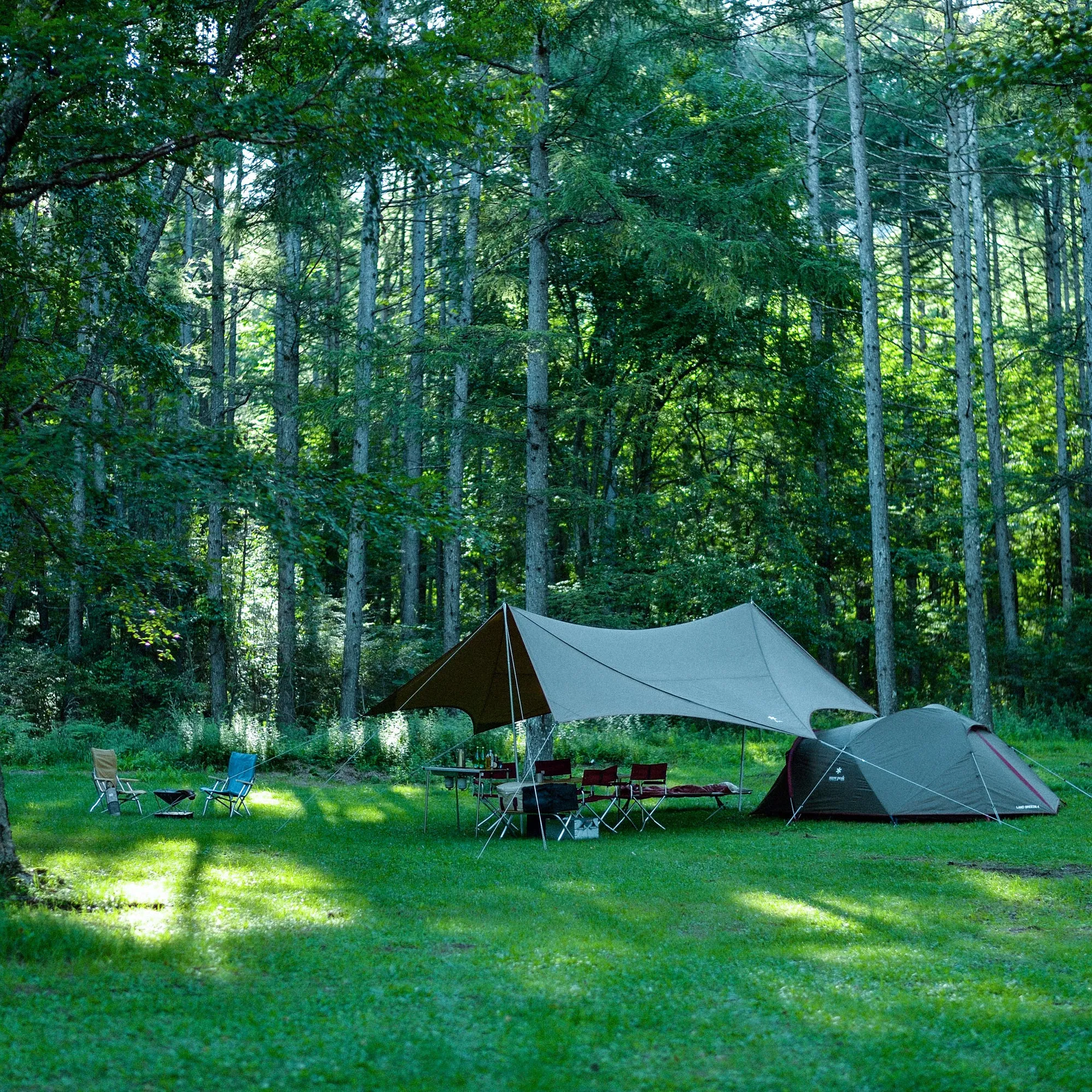 HD Tarp Shield Hexa Evo Pro.