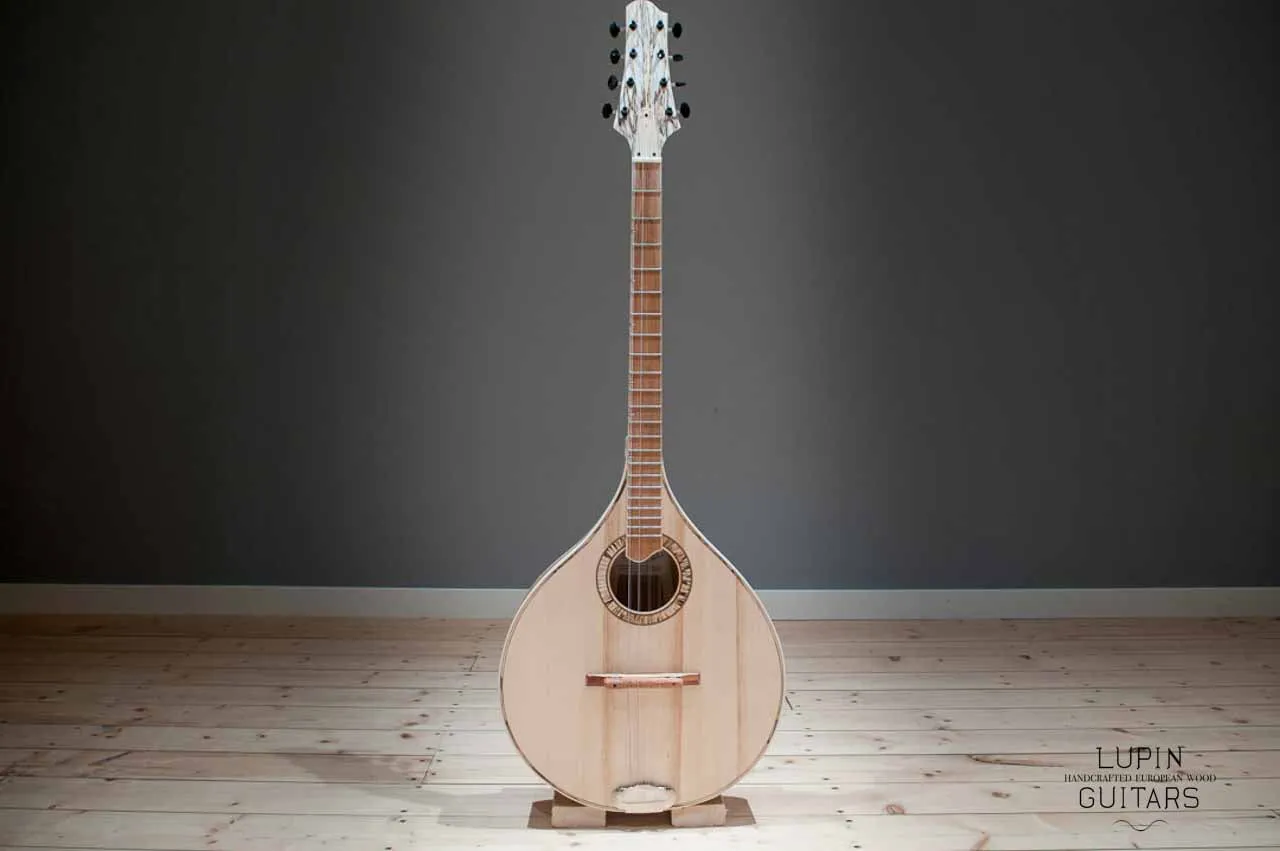 Irish Bouzouki