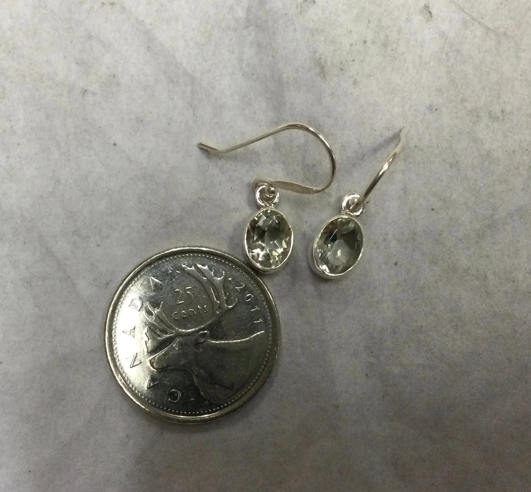 Silver Oval Gemstone Hook Earrings